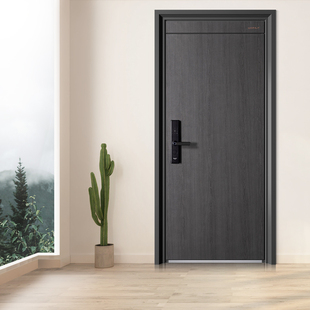 王力安全防盗门入口门入口门婆婆门家门Gl2506Z