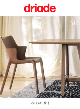 意大利Driade 原装进口Lou Eat休闲椅轻奢皮质书房现代家用扶手椅