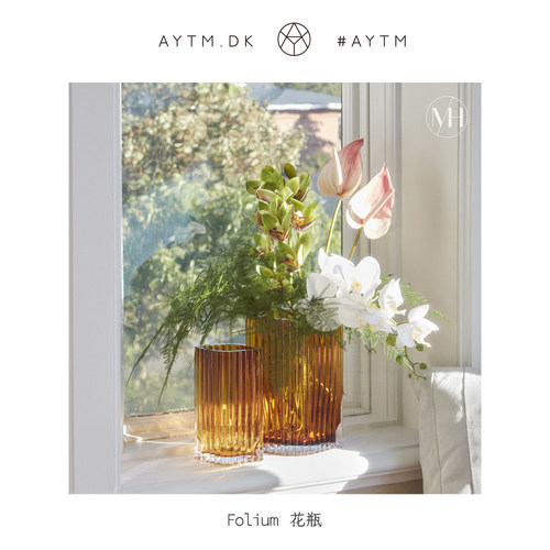 Aytm北欧玻璃丹麦客厅桌面花瓶