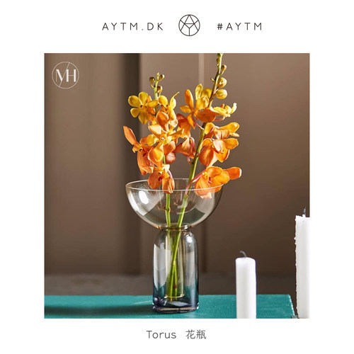 aytmtorus漏斗玻璃花瓶拼色摆件