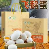 额雁飞鹅蛋礼盒装 12枚自然散养正宗新疆特产大个鹅蛋家人安心之选