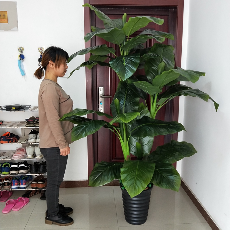 假植物盆栽仿真绿巨人客厅摆设落地假花装饰滴水观音大型绿植盆景