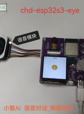 小智ai 虫洞ESP32S3-EYE开发板 mcp摄像头