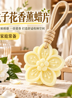 衣柜香薰片蜡片持久固体香氛