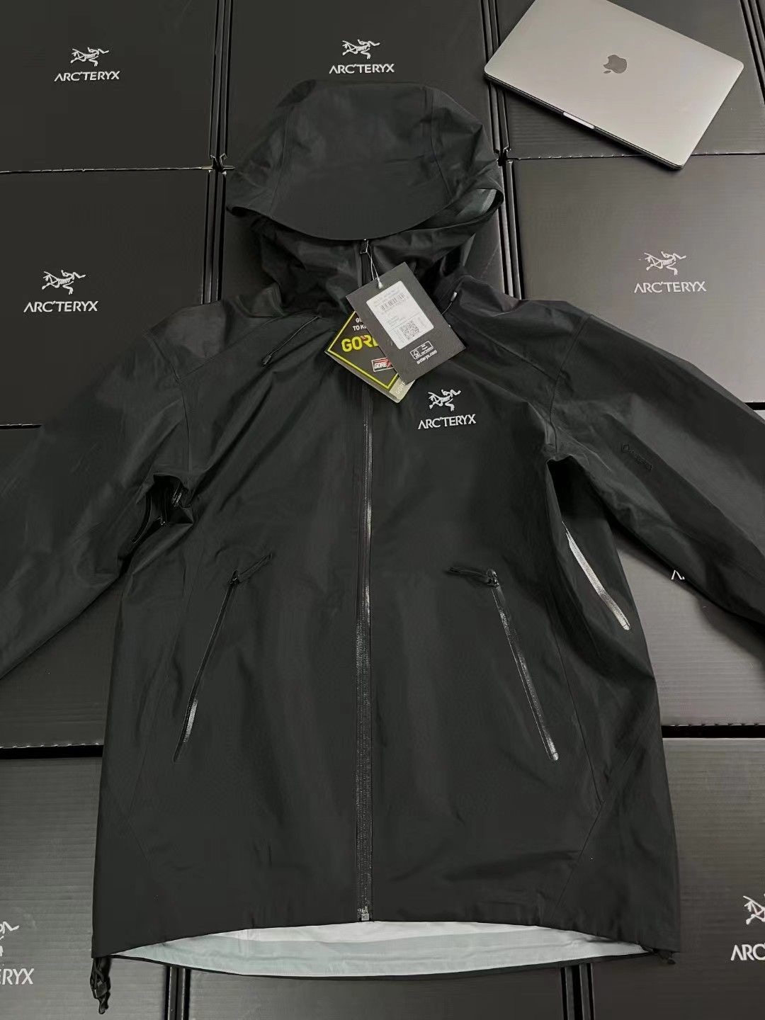 代购ARC'TERYX/始祖鸟Beta LT Gore-GTX冲锋衣防水硬壳男女款外套