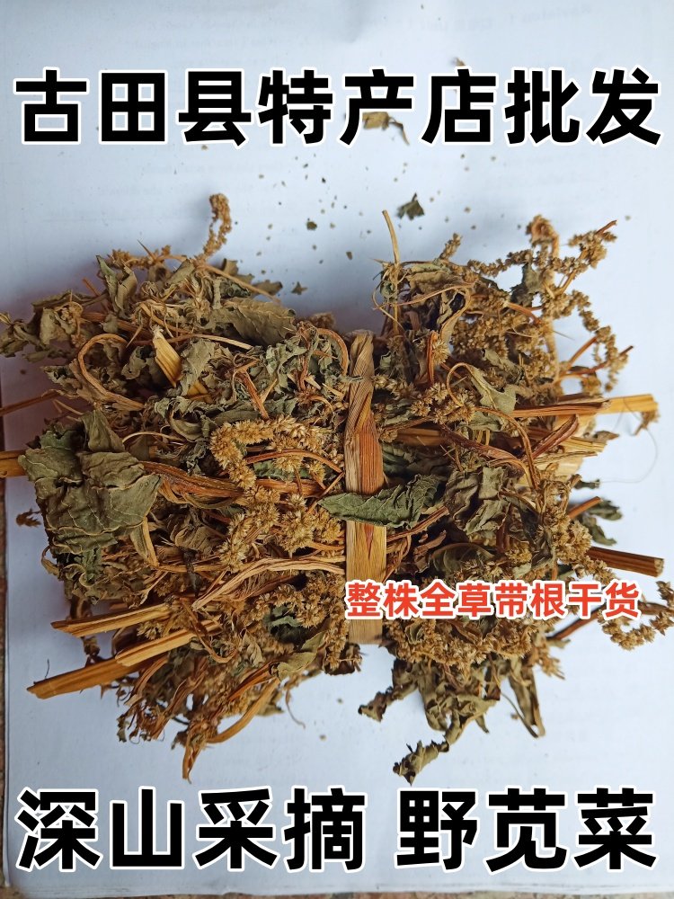 野刺苋菜中草药新货嗮干红刺苋菜红菜头野旱菜猪母菜全草干货包邮
