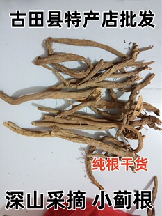 野生小蓟根中草药 小计根 猫蓟 刺蓟菜 刺儿菜 刺蓟 纯根干货包邮