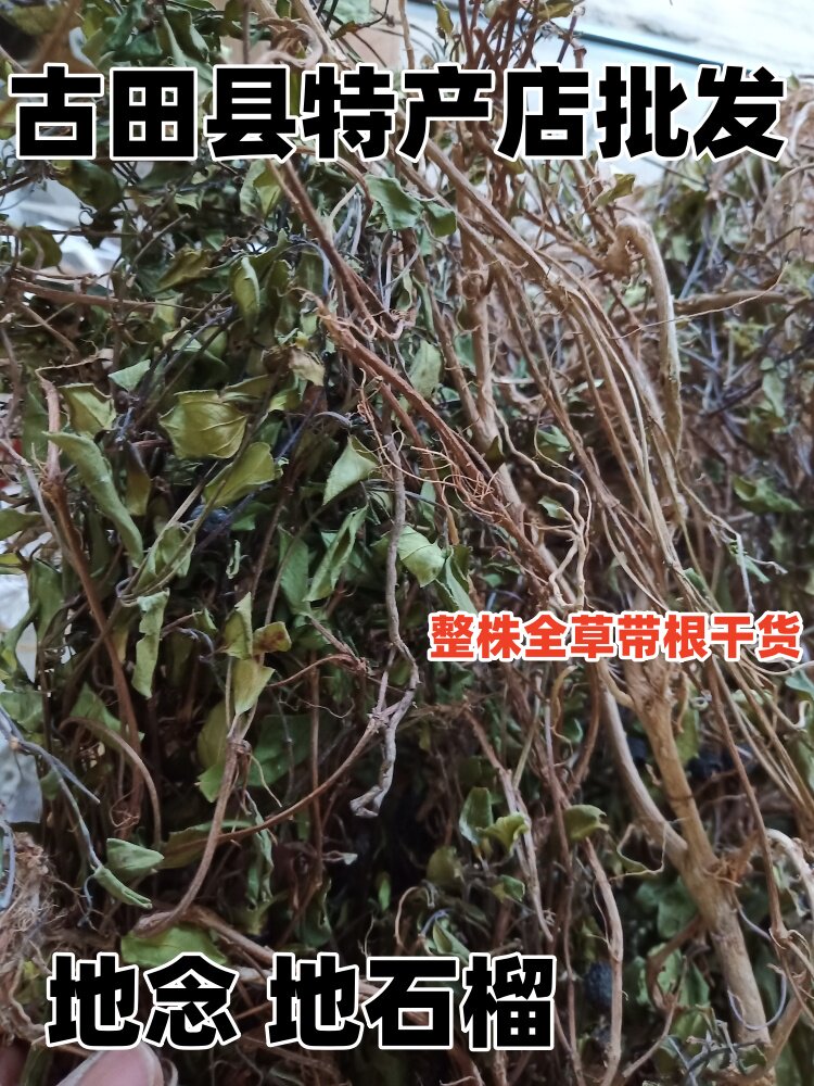 野生地菍 中草药 地石榴 地念草 紫茄子 地脚茶 整株全草干货包邮