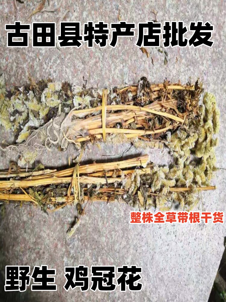 野生鸡冠花 白鸡冠花 鸡公花 鸡髻花 中草药材原生态整株全草干货