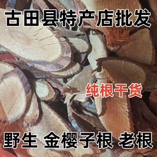 野生金樱子根老根 山石榴根 糖罐子根 脱骨丹 原生态纯根干货包邮