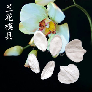 兰花硅胶模具 糖纸花硅胶压模  兰花花瓣模具 黏土仿真花卉模具