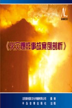 安全教育 宏安视业 讲师团火灾爆炸事故案例剖析2VCD现货