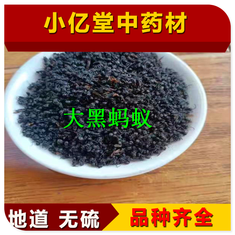 中药材蚂蚁中药材大黑蚂蚁干拟黑多刺蚁泡酒食用磨蚂蚁粉