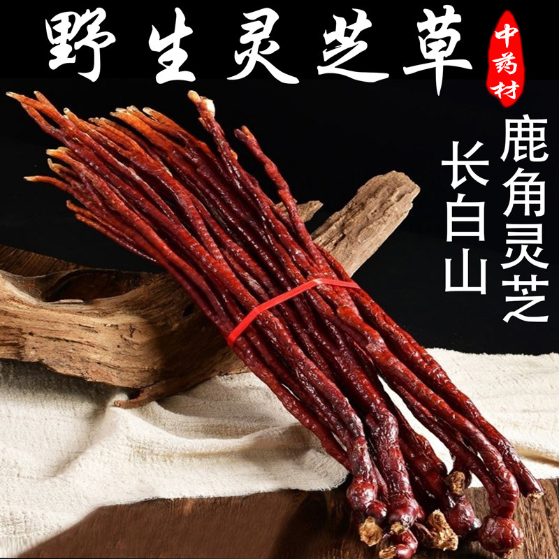 灵芝草中药材 长白山特产整枝500g克包邮 又名鹿角灵芝林芝菌类