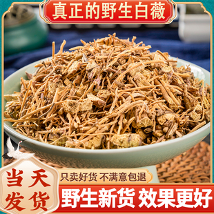 精选无硫正品 中药材 白薇 白微 白韦 龙胆白薇 白马尾 500克包邮
