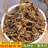 包邮 中药材 另售蜈蚣 全虫清水干蝎子 蝎子500克 蝎子干正品 全蝎