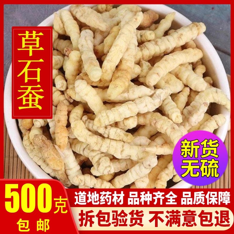 散装中药材正品草石蚕