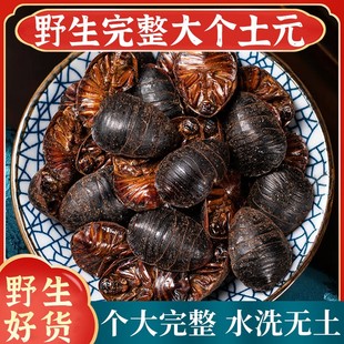 土元 中药材 干土元 土鳖虫 土鳖子 土元粉 土元干 土元500克包邮