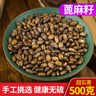 蓖麻子 蓖麻籽中药材新鲜干货500g包邮大粒 蓖麻籽种子 红大麻子