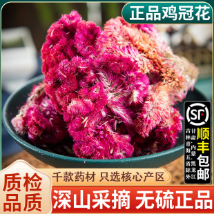 鸡冠花中药材500g紫鸡冠花干花鸡冠花药用干货凤尾大红鸡冠花