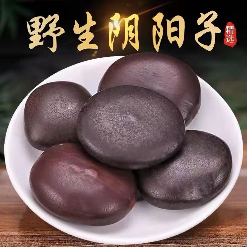 阴阳子 正品西藏天然中药材500g包邮木腰子 肾树宝有风流果双肾子