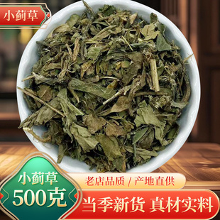 药材小蓟草 小蓟草根 小计 七七牙 刺儿菜水野红花 500g干货包邮