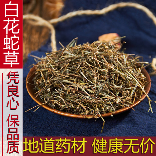中药材野生白花蛇草百花蛇舌草