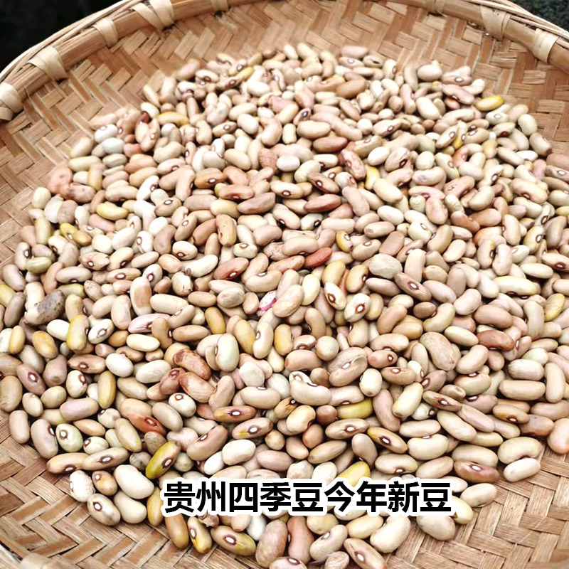 酸菜豆米贵州花豆四季豆毕节金沙特产高原新豆米农家肥自种500g