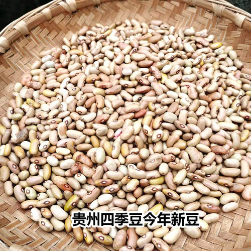 花豆米价格 多少钱 花豆米价格 多少钱