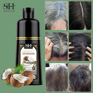 500ml Hair Color Shampoo Black Hair Dye Coconut Ginger洗发