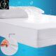 sheets waterproof fitted encasement bed mattress protector