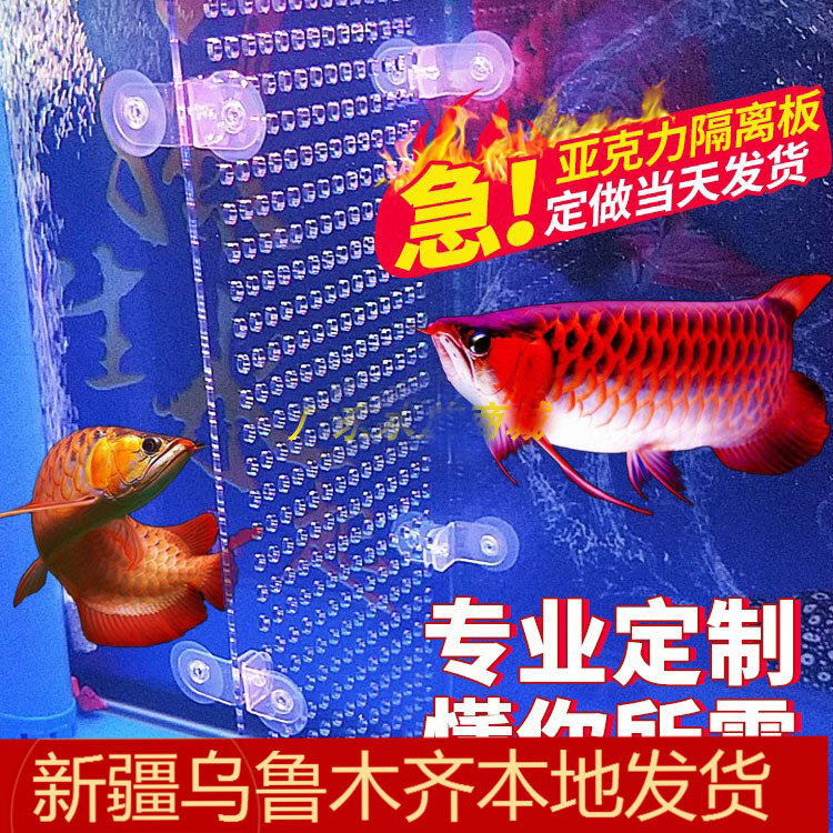 定制订做观赏热带鱼缸有机玻璃隔离挡板透明无异味亚克力塑料专用图片