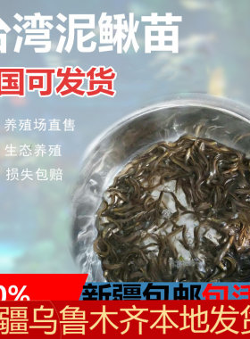 新疆大型地图鳄龟爬宠招财泥鳅鱼
