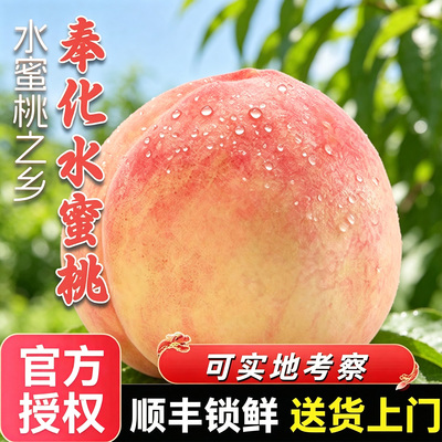 【顺丰空运】正宗奉化水蜜桃