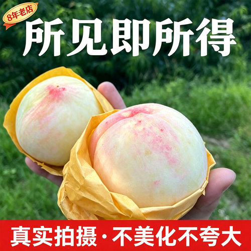 产地直发正宗奉化水蜜桃