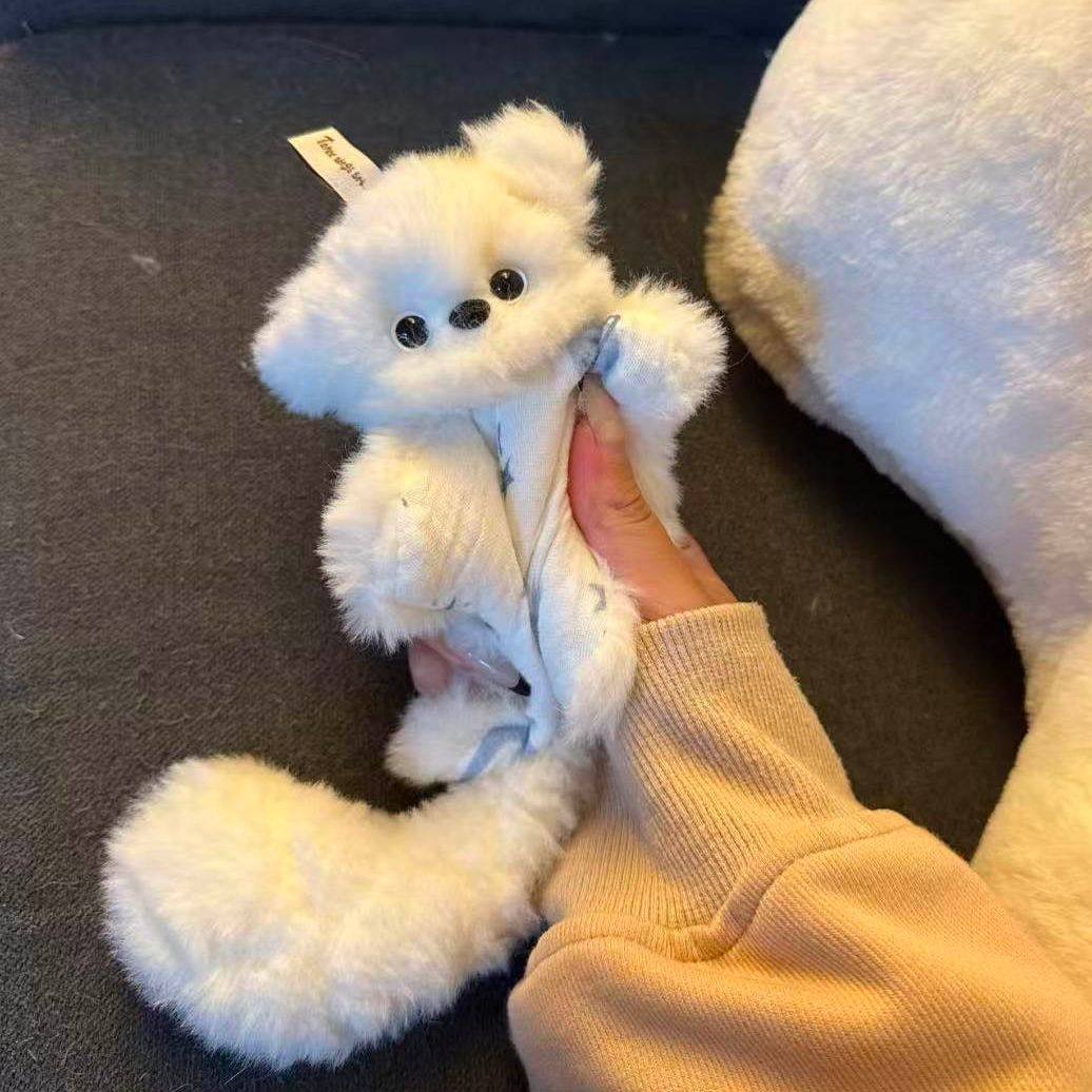 治愈系猫咪安抚巾豆袋创意打工人解压毛绒公仔柔软手帕闺蜜小礼物,模玩/动漫/周边/娃圈三坑/桌游,动漫挂件/文具,淘宝优惠券,粉丝福利购,淘宝优惠卷