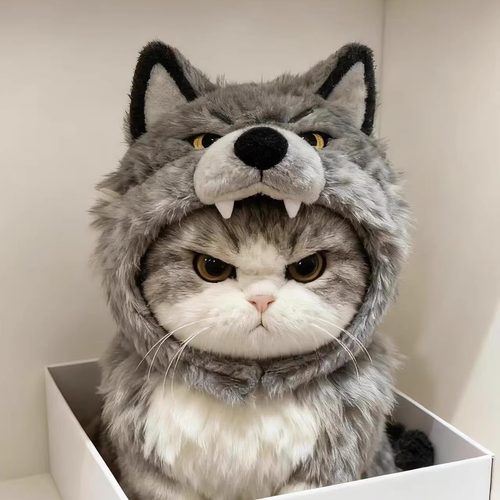 可爱奶凶小狼娃衣萌宠头套