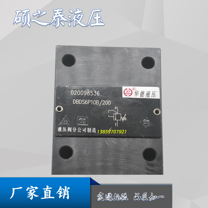 DBDH20P10B/200直动式溢流阀DBDS20G10B/315/2华德DBDH20K10B/100