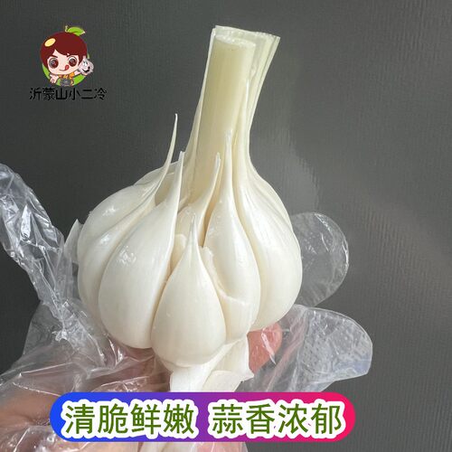 腌糖蒜用2026现挖鲜嫩大蒜