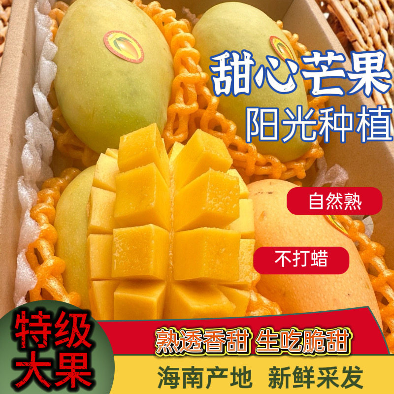 海南正宗昌江黄玉芒果大果新鲜包邮应季特产礼盒10斤香甜多汁生果