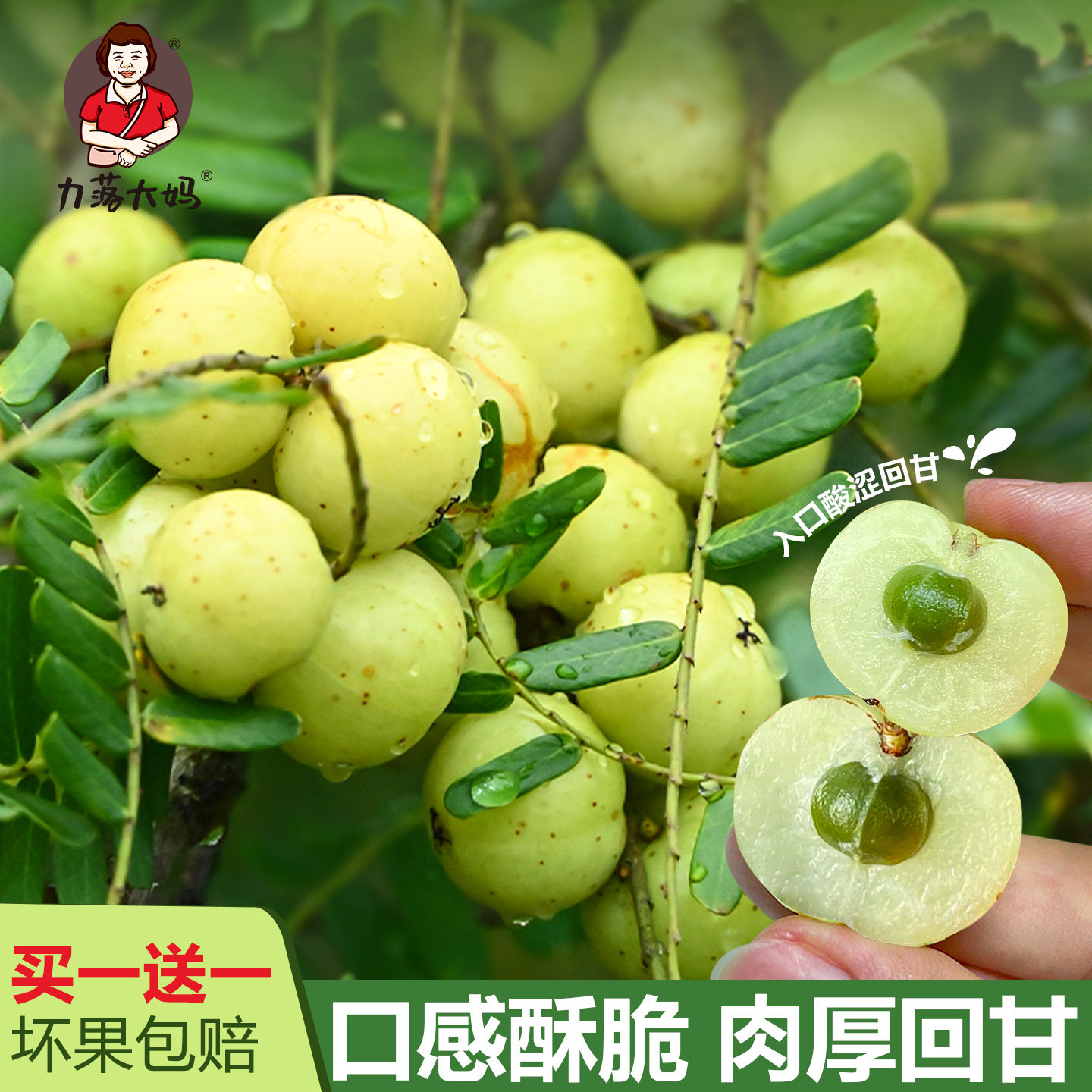 潮汕大妈油甘果新鲜崩坎油柑孕妇水果榨汁滇橄榄果余甘果柿饼油柑