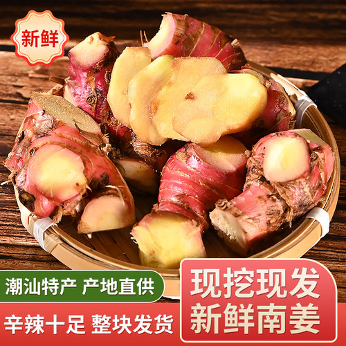 潮汕大妈南姜新鲜正宗农家精选红皮老姜牛羊肉火锅卤味去膻提味