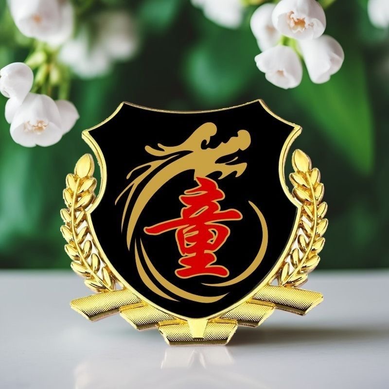 童氏百家姓车贴个性侧窗贴大号金属立体侧标VIP车身车标汽车尾标