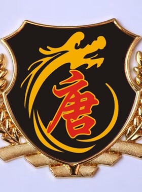 汽车车贴 唐氏唐姓车标汽车百家姓文字金属尾标贴 车身金属车标贴