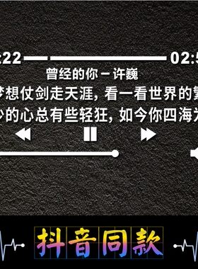 刘德华17岁歌词歌曲抖音网红车贴曾经的你赵雷理想音乐创意后档贴