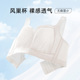 内衣女大胸显小全罩杯无痕文胸大码 一家缘夏季 透气薄款 收副乳胸罩