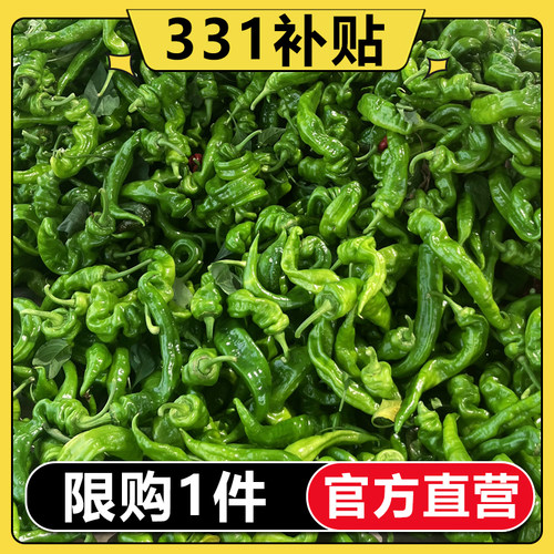 【331补贴 限购】新鲜螺丝椒青椒现摘现发应季蔬菜青辣椒5斤包邮