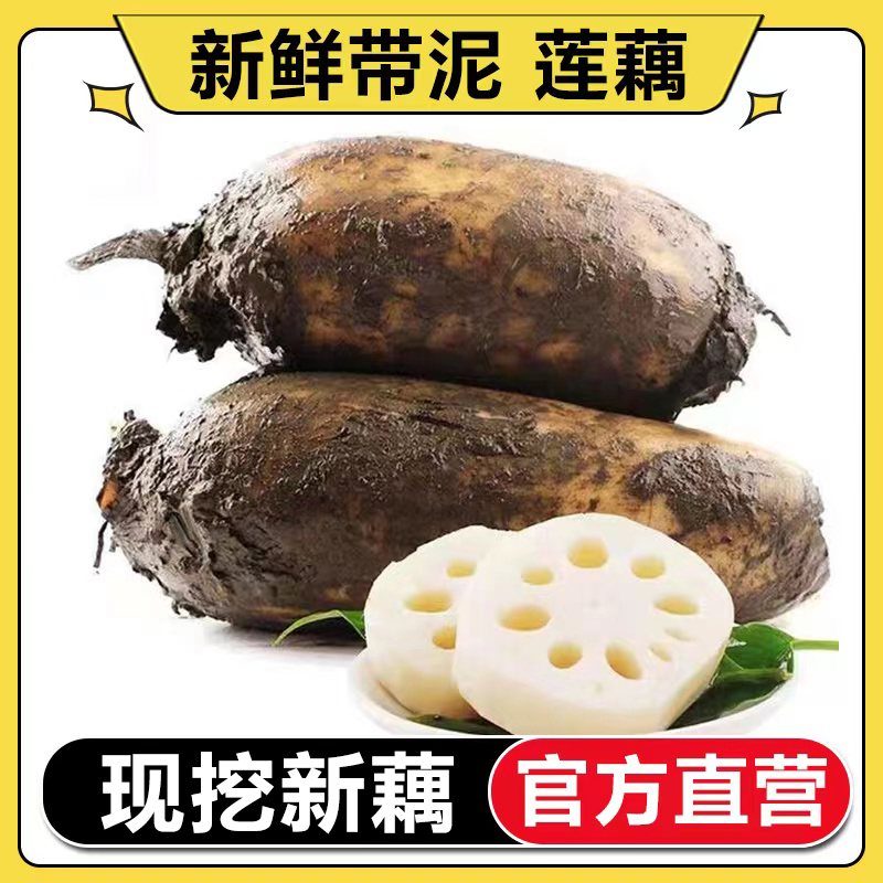 【官方直营】新鲜莲藕脆藕3-5斤九孔莲藕新鲜粉藕煲汤藕应季蔬菜