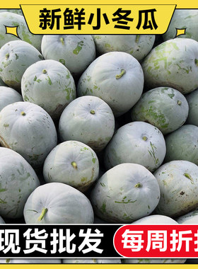 【折扣】新鲜冬瓜4-10斤现摘水果小香冬瓜应季农家时令蔬菜挂霜