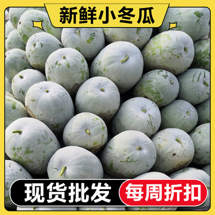 【折扣】新鲜冬瓜4-10斤现摘水果小香冬瓜应季农家时令蔬菜挂霜